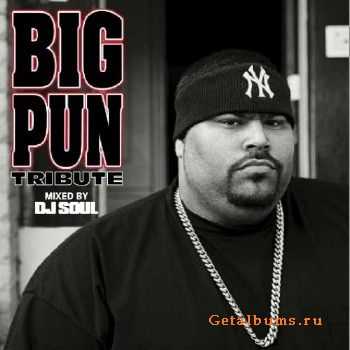 DJ Soul - Big Pun Tribute (2011)