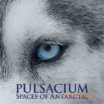 Pulsacium - Spaces of Antarctic (2011)