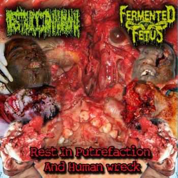 Fermented Fetus & Destruccion Humana - Rest In Putrfaction And Human Wreck [Split] (2010)