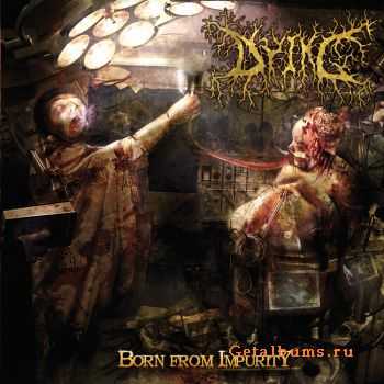 Dying - Born From Impurity (2009)