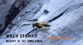 Willy Stamati-Beauty is So Unnatural (2011)