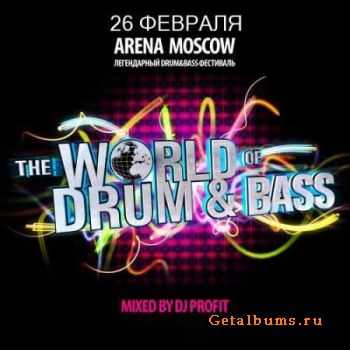 THE WORLD OF DRUM&BASS "MAKE YOUR WORLD"  (2011)