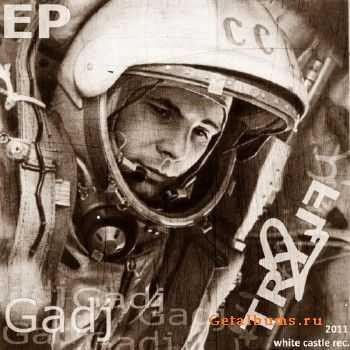 Gadj - Try to Fly (2011) Gadj - Try to Fly (2011)