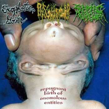 Exophotic Goiter & Phlegm Thrower & Septic Chyme - Repugnant Birth Of Anomalous Entities [Split] (2007)