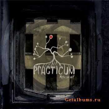 Practicum -  (2011)