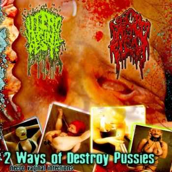 Necro Vomit Pussy & Utero Vaginal Peste - 2 Ways of Destroy Pussies - Necro Vaginal Infections [Split] (2011)