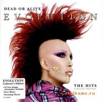 Dead Or Alive - Evolution: The Hits (Limited Edition) 2CD (2003) (Lossless) + MP3