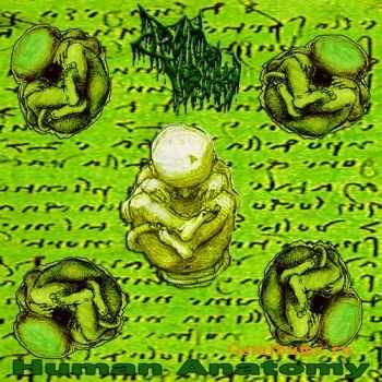 Drain Of Impurity - Human Anatomy (2011)