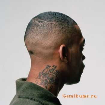 Wiley - 100% Publishing (2011)