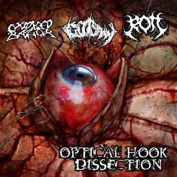 Oxidised Razor & Gutsaw & Rott - Optical Hook Dissection [Split] (2011)