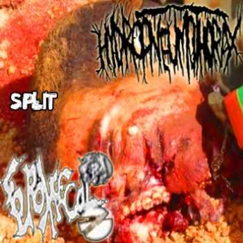 Hydropneumothorax & Ferox Fecal - Split (2010)