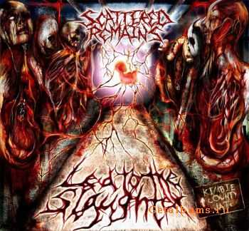 Scattered Remains - Led to the Slaughter 2011