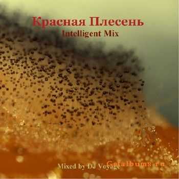 Красная Плесень - Intelligent Mix by DJ Voyage (2011) Красная Плесень - Intelligent Mix by DJ Voyage (2011)