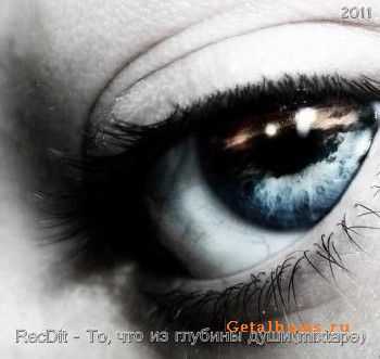 RecDit - ,     2011)