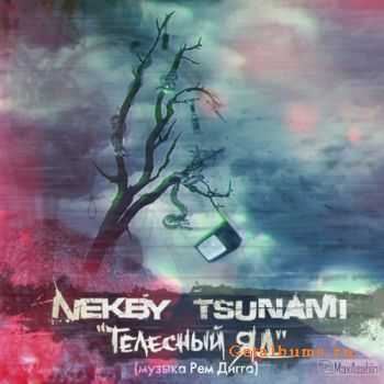 Nekby, Tsunami -   (Single) (2011)