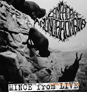 Camphora Monobromata - Mince From Live (2009 - 2011)