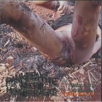 Pankreatite Necro Hemorragica - Filthy Body Spittoon (Demo) (2009)