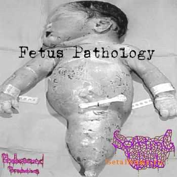 Spitting Womb - Fetus Pathology (Demo) (2011)