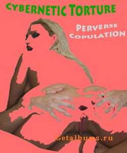 Cybernetic Torture - Perverse Copulation (2011)