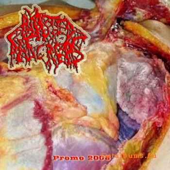 Blasted Pancreas - Promo (Demo)   (2008)