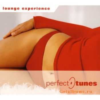 VA - Lounge Experience:Perfect-Tunes (2007)