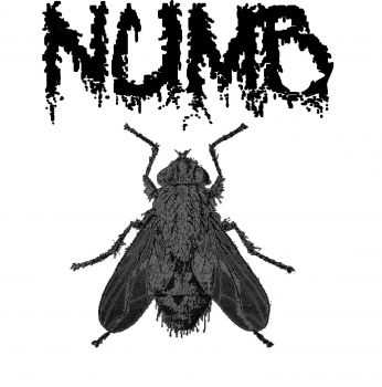 Numb - Numb (EP) (2011)