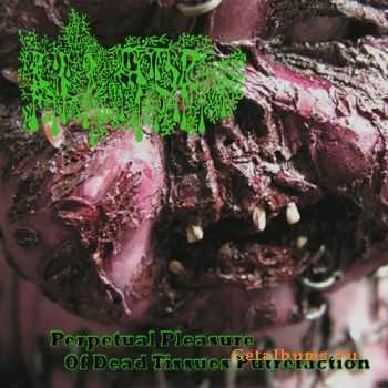 KLIzmaTORture - Perpetual Pleasure Of Dead Tissues Putrefaction (Demo) (2008)