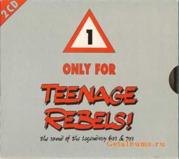 VA - Teenage Rebels - Beautiful Sunday, Spirit In The Sky (1992) Lossless