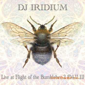 DJ Iridium - Live @ Flight of the Bumblebee 2 (2011)