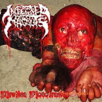 Infected Maggots - [E]rotica [P]enetracion (EP) (2011)