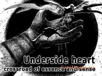 Underside Heart - Crossroad Of Essence And Sense (2011)