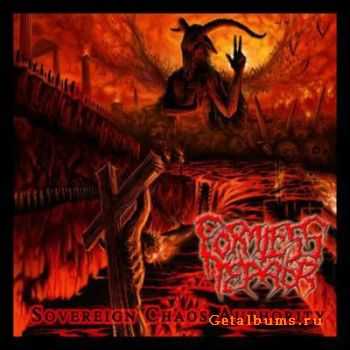 Formless Terror - Sovereign Chaos Authority (2011)