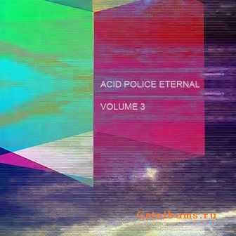 VA - Acid Police Eternal Volume 3 (2011)