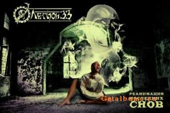  33 -     (2011)