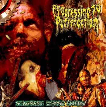 Progressing To Putrefaction - Stagnant Corpse Fluids (2011)