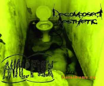 Decomposed Aesthetic & Anal Fuck - Split (2010)