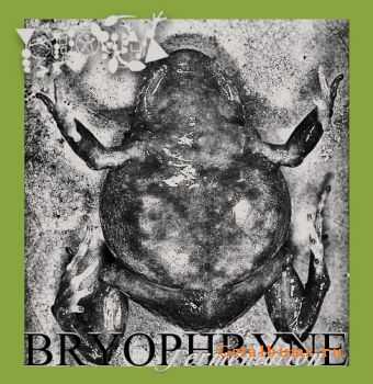 Phyllomedusa - Bryophryne Fermentation (Demo) (2010)