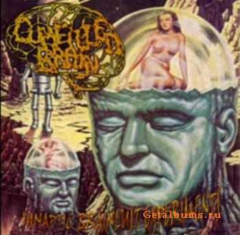 Cumfilled Brain - Synaptic Brainlust Experiments (2009)