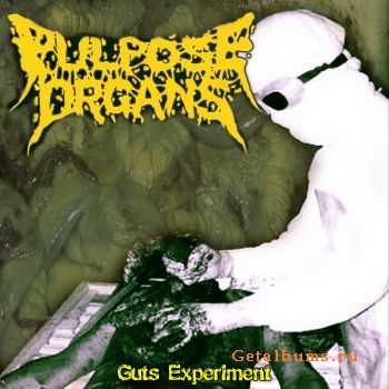 Pulpose Organs - Guts Experiment (Promo) (2011)