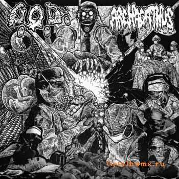 Grotesque Organ Defilement / Archagathus [Split] (2010)