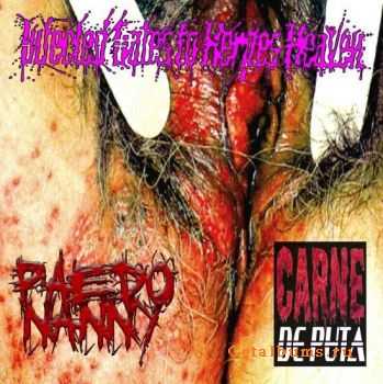 Carne De Puta / Paedo Nanny - Infected Gates To Herpes Heaven [Split] (2011)