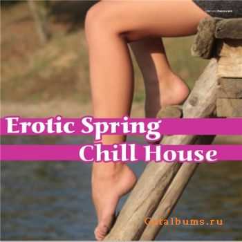 VA - Erotic Spring Chill House (2012)