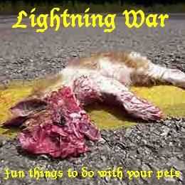 Lightning War - Fun Things to do with your Pets (2005)