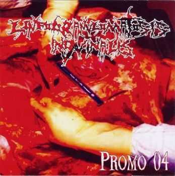 Linfogranulomatosis Inguinalis - Promo 2004 (Demo) (2004)