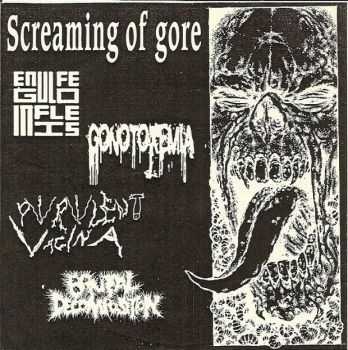 Engulfed In Flies / Purulent Vagina / Brutal Decomposition / Gonotoxemia - Screaming Of Gore [Split] (2011)