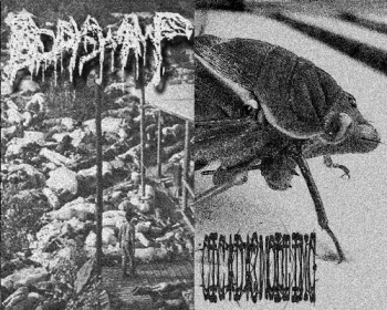 Body Swamp / Cicada Molting [split] (2010)