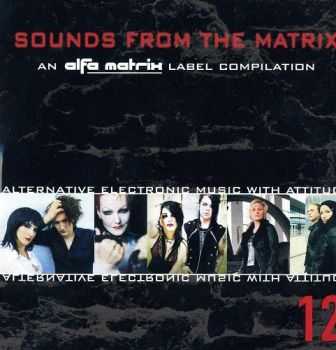 VA - Sounds From The Matrix 12 (2012)