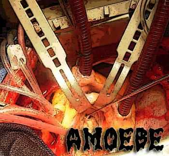 Amoebe - Ateltunicavaginalis [demo] (2010)