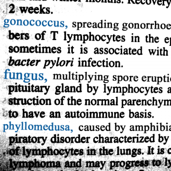 Gonococcus / Fungus / Phyllomedusa [split] (2010)