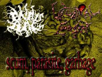 Anal Bag / Vaginal Lobotomy - Scum, Parasite, Garbage [split] (2009)